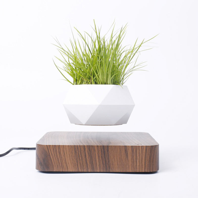 Magnetic Levitating Bonsai Flowerpot | Rotating 360° Air Planter