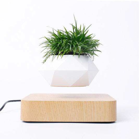 Magnetic Levitating Bonsai Flowerpot | Rotating 360° Air Planter